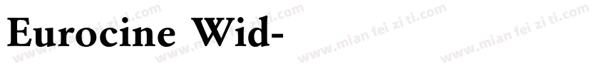 Eurocine Wid字体转换